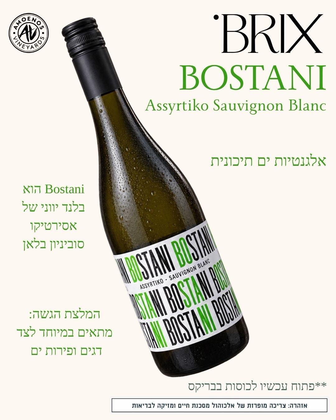 בריקס